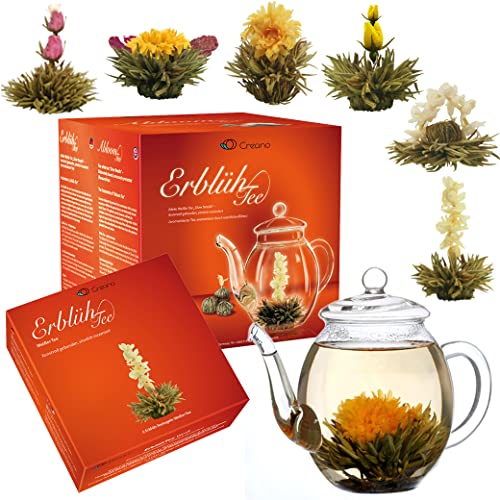 Entdecke die faszinierende Welt der Creano Teeblumen mit dem Erblühtee Frühjahrslese Geschenkset! Inklusive 500ml Glaskanne und 6x Weißer Tee - das perfekte Geschenk zu Weihnachten!